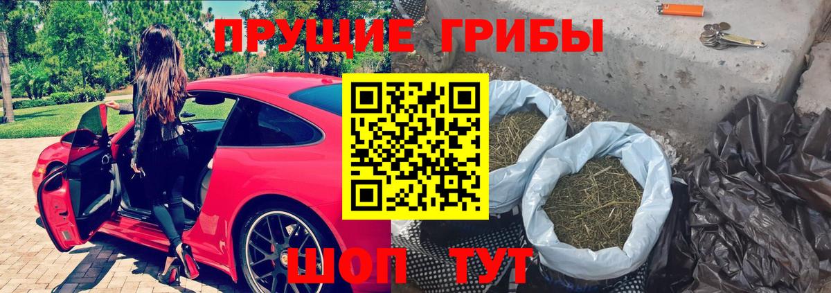 Галлюциногенные грибы прущие грибы Коммунар